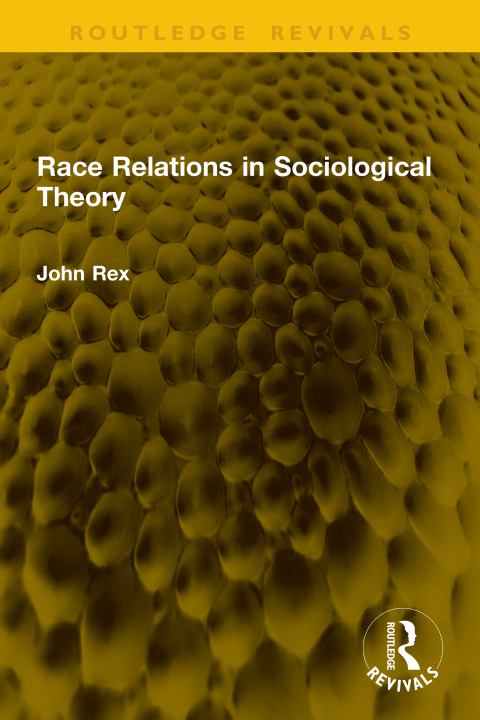 Cover image for book Race Relations in Sociological Theory