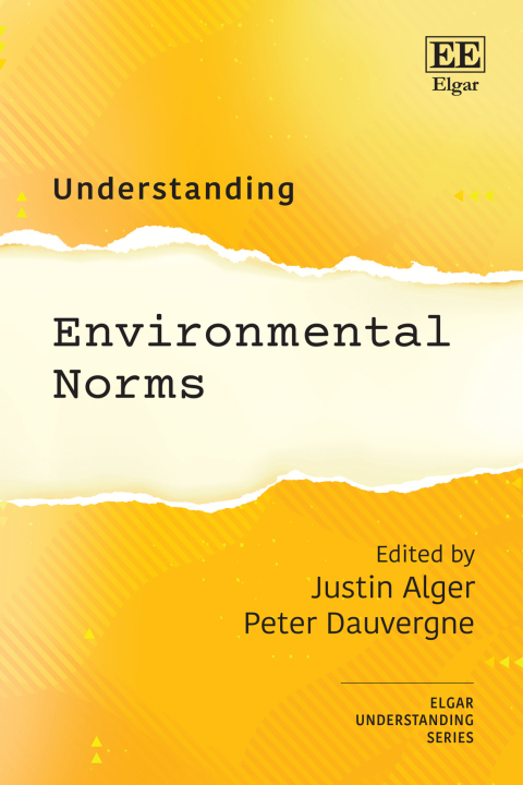 Cover image for book Understanding Environmental Norms