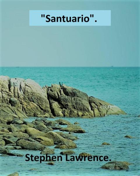 Cover image for book Santuario