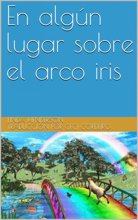 Cover image for book En algún lugar sobre el arco iris