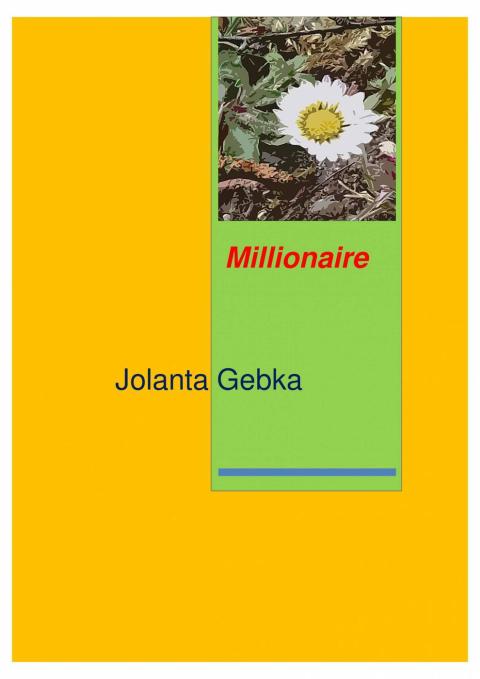 Cover image for book Millionaire