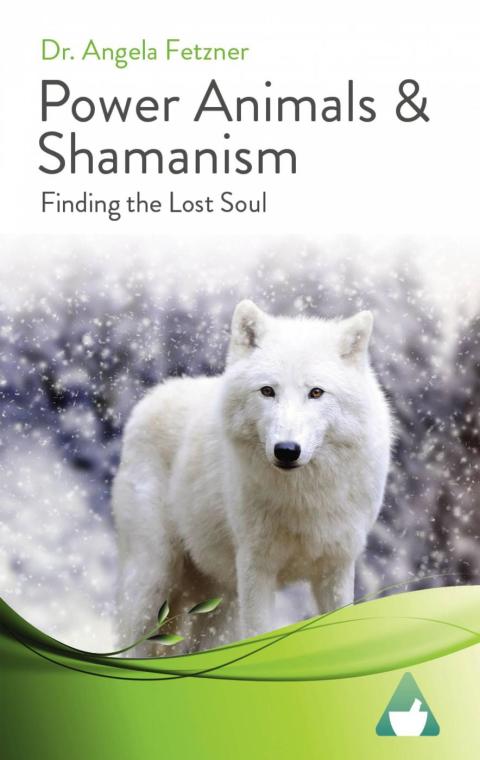 Cover image for book Power Animals & Shamanism