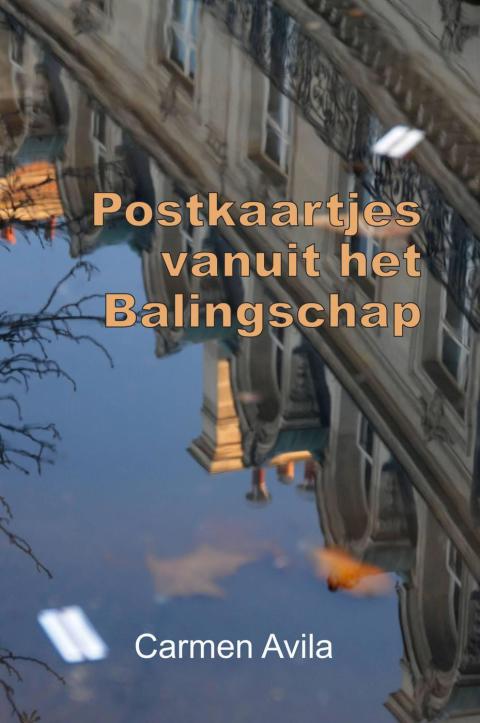Cover image for book Postkaartjes vanuit het Balingschap
