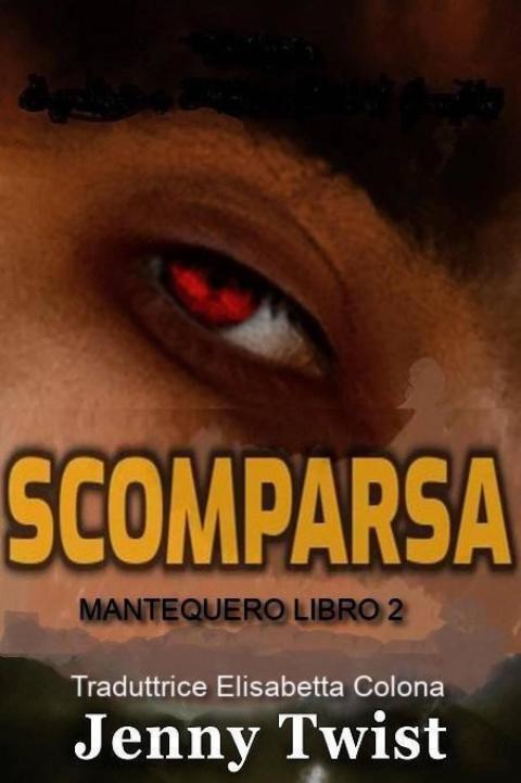 Cover image for book Scomparsa