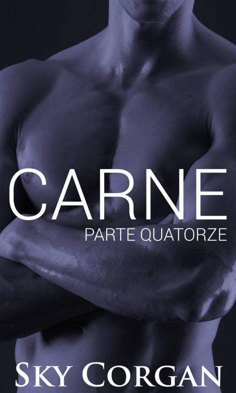 Cover image for book Carne: Parte Quatorze