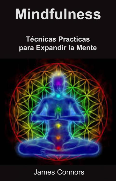 Cover image for book Mindfulness: Técnicas Practicas para Expandir la Mente