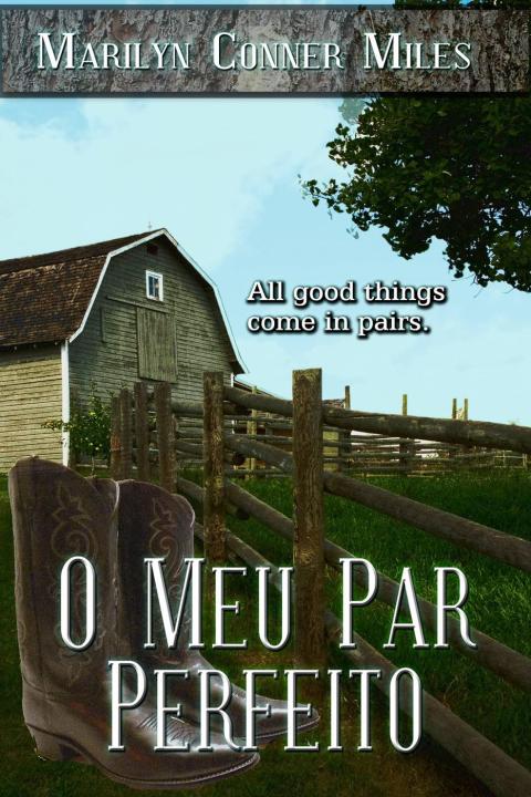 Cover image for book O Meu Par Perfeito