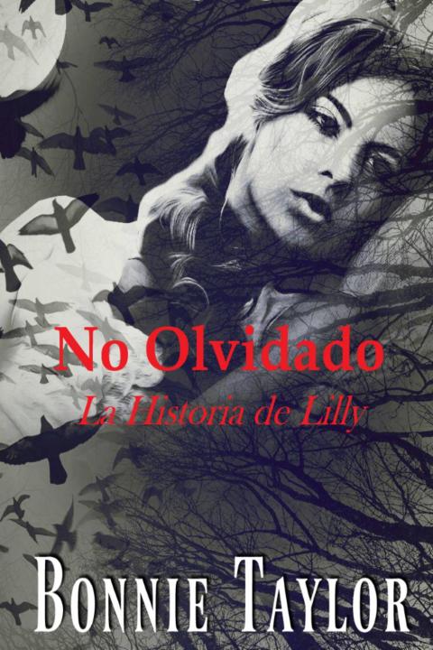 Cover image for book No Olvidado