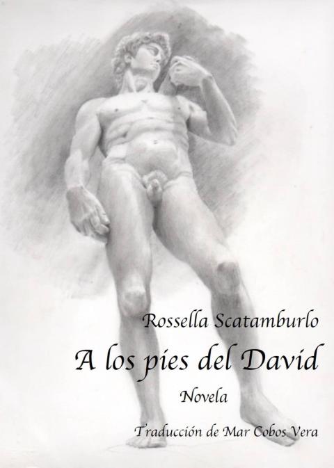 Cover image for book A los pies del David