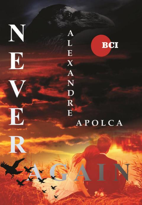 Cover image for book Never Again