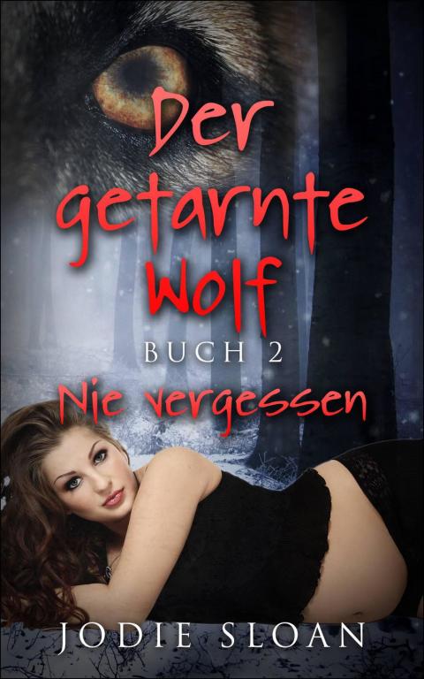 Cover image for book Der getarnte Wolf, Buch 2