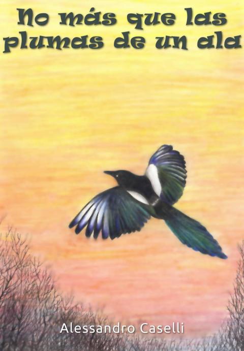 Cover image for book No más que las plumas de un ala