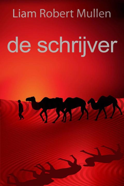 Cover image for book de schrijver