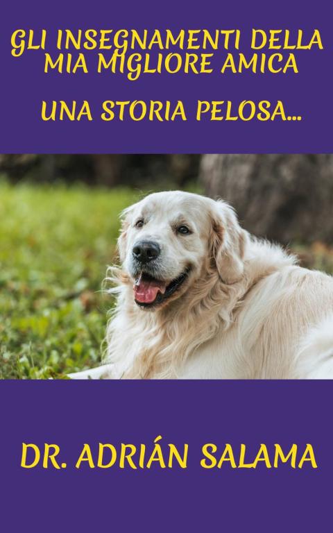 Cover image for book Gli insegnamenti della mia migliore amica