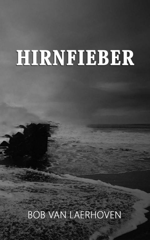 Cover image for book Hirnfieber