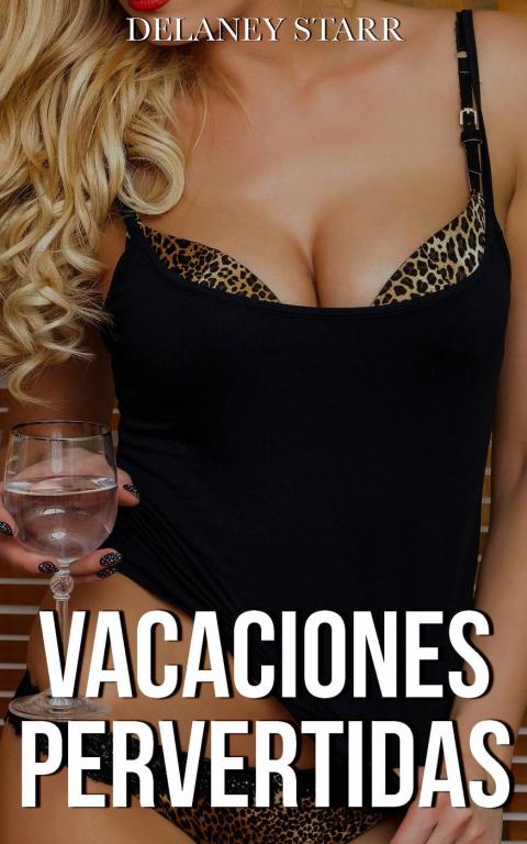 Cover image for book Vacaciones Pervertidas
