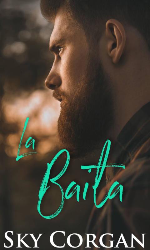 Cover image for book La baita