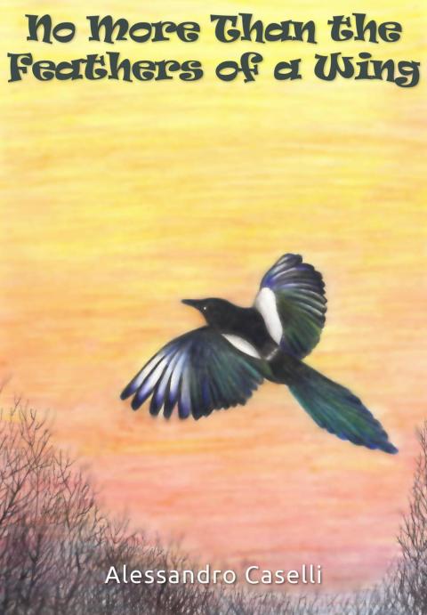 Cover image for book No More Than the Feathers of a Wing
