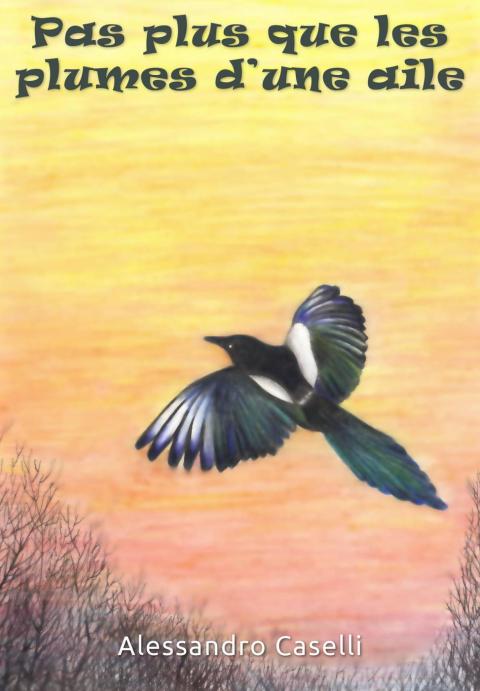 Cover image for book Pas plus que les plumes d'une aile