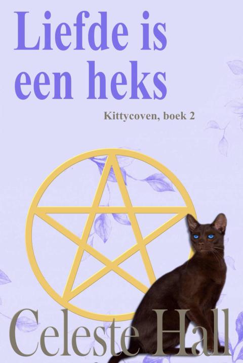 Cover image for book Liefde is een heks