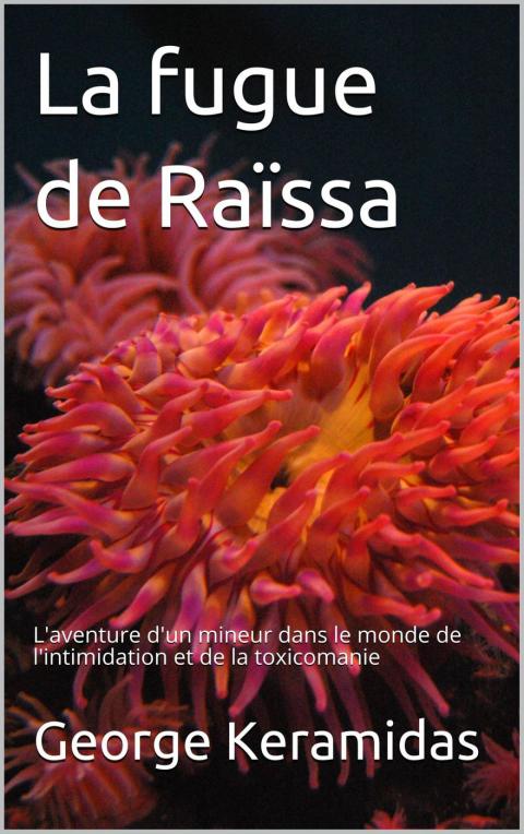 Cover image for book La fugue de Raïssa