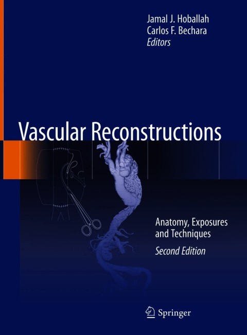 Cover image for book Vascular Reconstructions