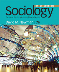 Cover image: Sociology: Exploring the Architecture of Everyday Life: Brief Edition 7th edition 9781071815212