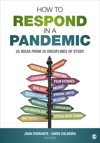 Cover image: How to Respond in a Pandemic 1st edition 9781071835951
