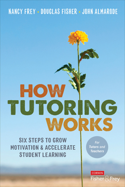 Cover image for book How Tutoring Works
