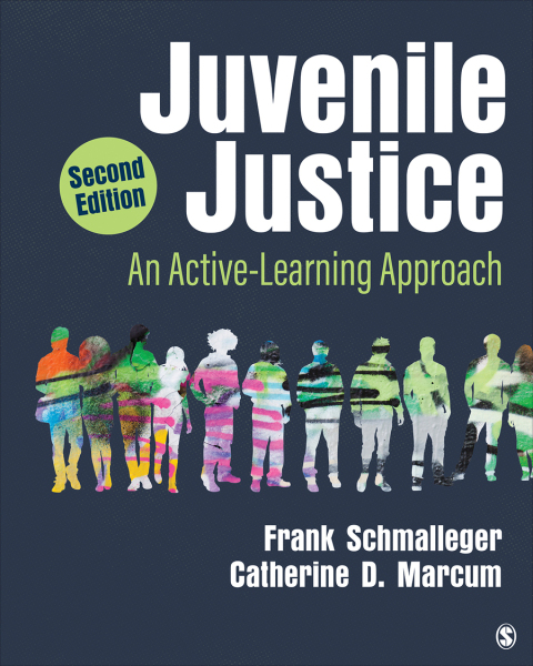 Cover image for book Juvenile Justice