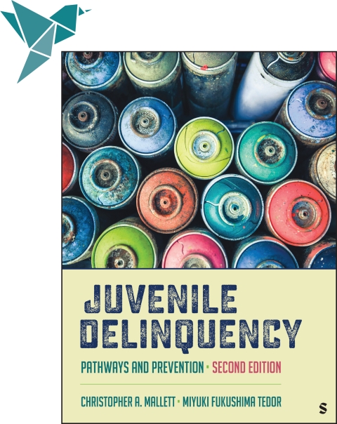 Cover image for book Sage Vantage: Juvenile Delinquency: Pathways and Prevention