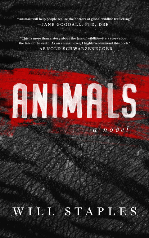 Cover image for book Animals