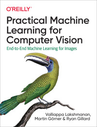 Titelbild: Practical Machine Learning for Computer Vision 1st edition 9781098102364