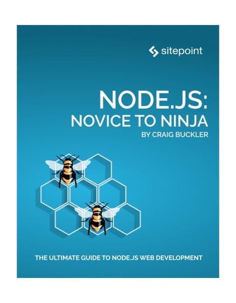 Node.js: Novice to Ninja 