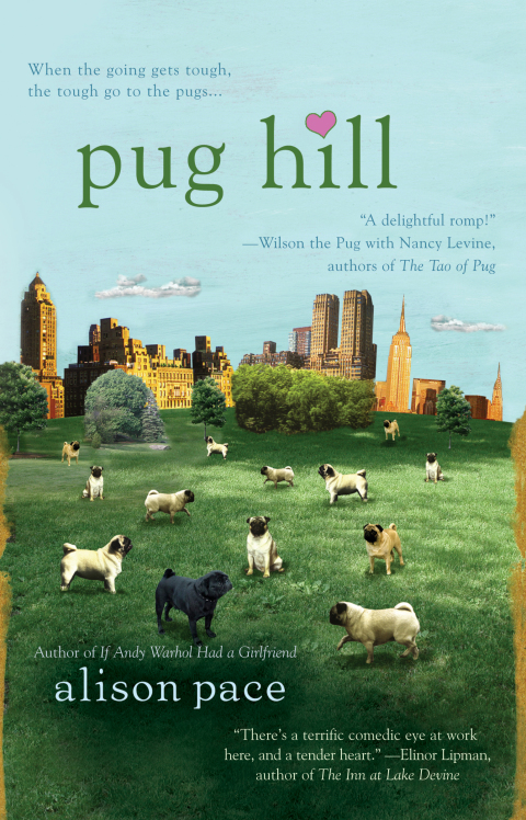 Cover image for book Pug Hill