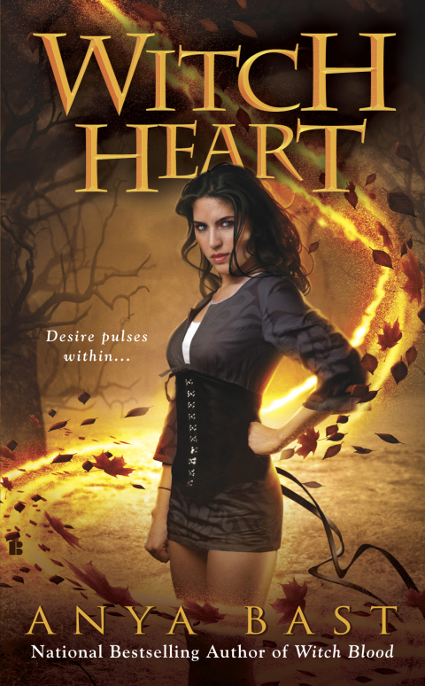 Cover image for book Witch Heart
