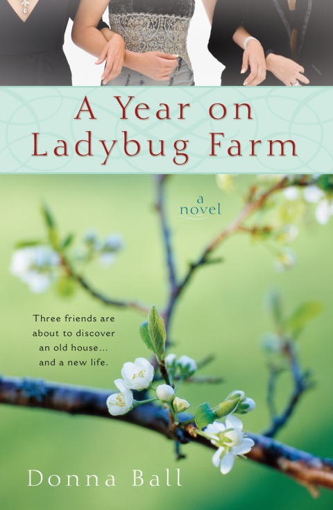 Cover image for book A Year on Ladybug Farm