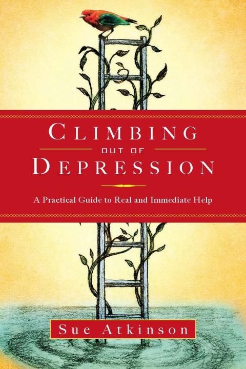 Cover image for book Climbing Out of Depression