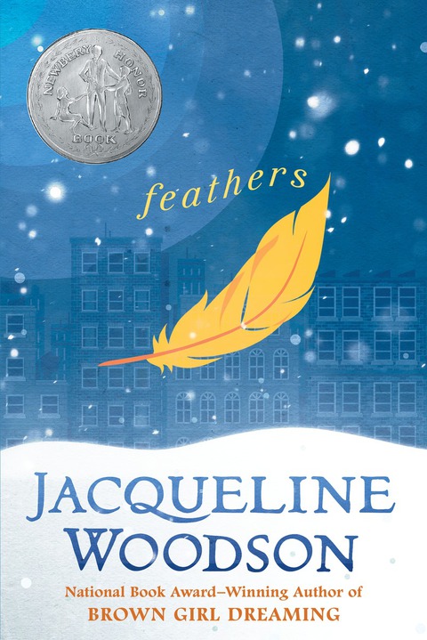 Cover image for book Feathers
