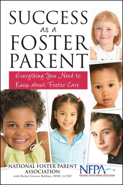 Cover image for book Success as a Foster Parent