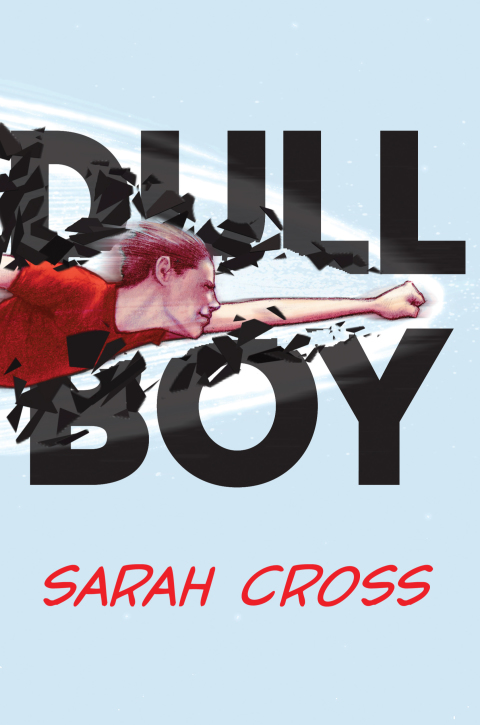Cover image for book Dull Boy