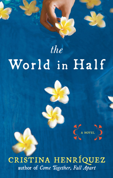 Cover image for book The World in Half