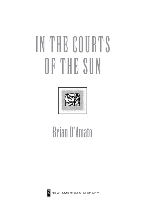 Cover image for book In the Courts of the Sun