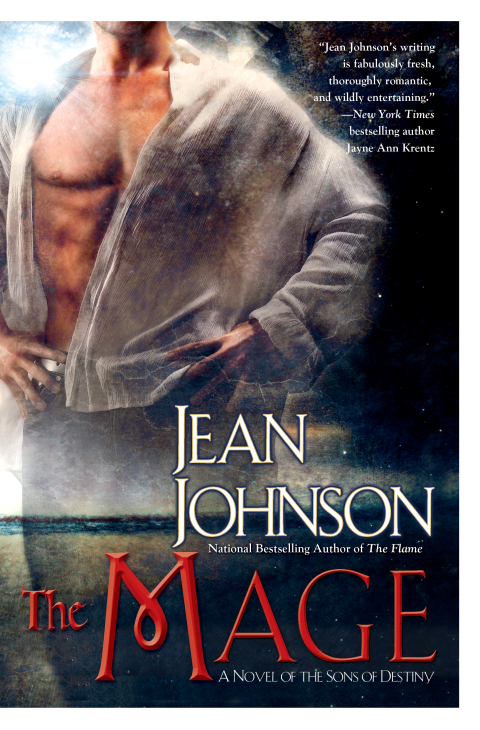 Cover image for book The Mage