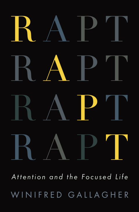 Cover image for book Rapt