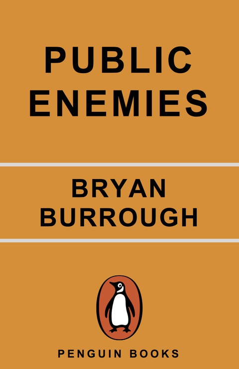 Cover image for book Public Enemies