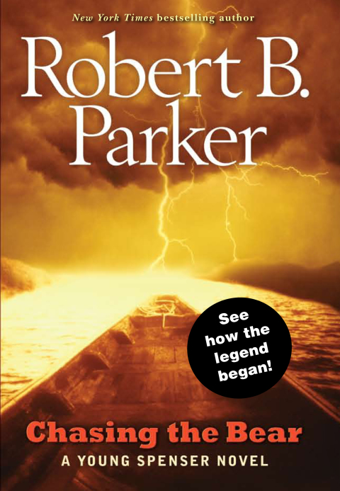 Cover image for book Chasing the Bear