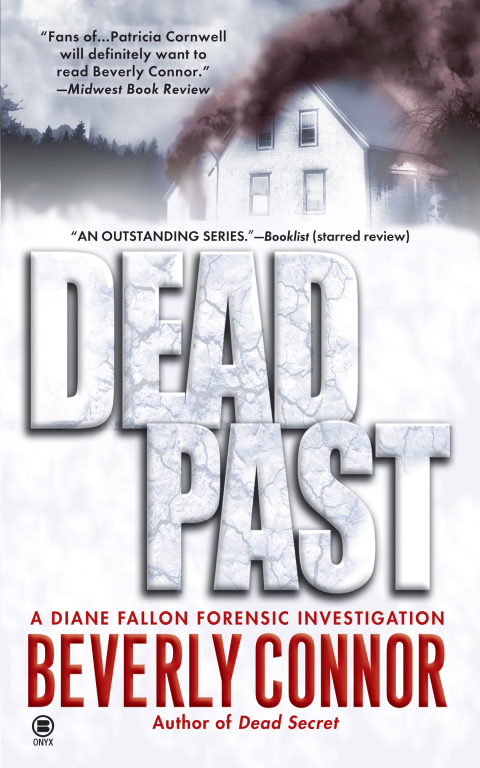 Cover image for book Dead Past
