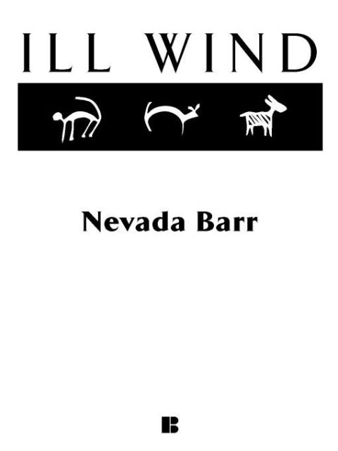 Cover image for book Ill Wind