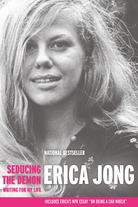 Cover image for book Seducing the Demon